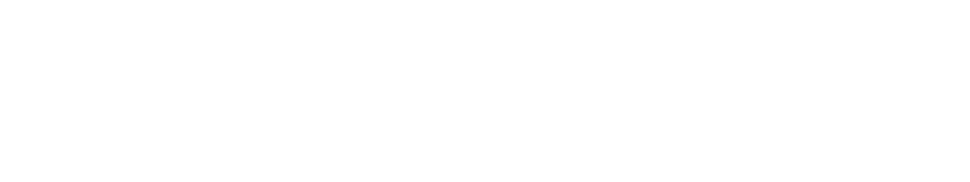 Investment Vista